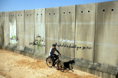 Cochon de Gaza (le ) – When Pigs have Wings