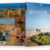 Jusqu'au bout du monde – Blu-Ray – Image 2
