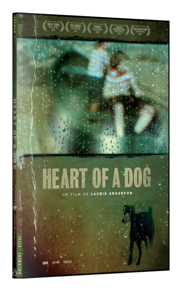 Heart of a dog