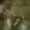 Heart of a dog – Image 4
